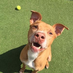 Meet your Posher, Michele